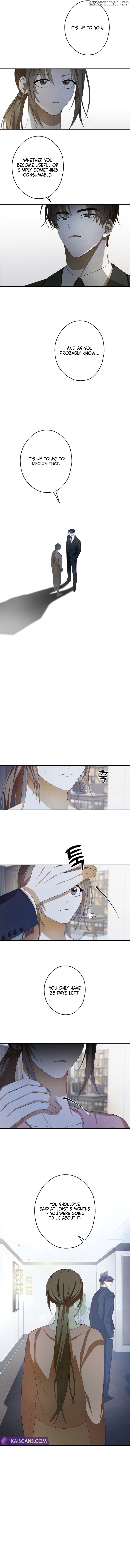 Read Hierarchy Food chain Manga Online