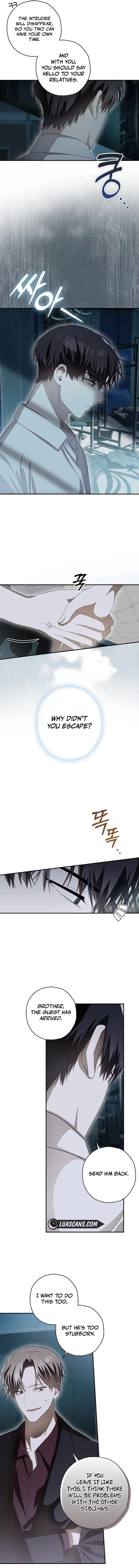 Read Hierarchy Food chain Manga Online