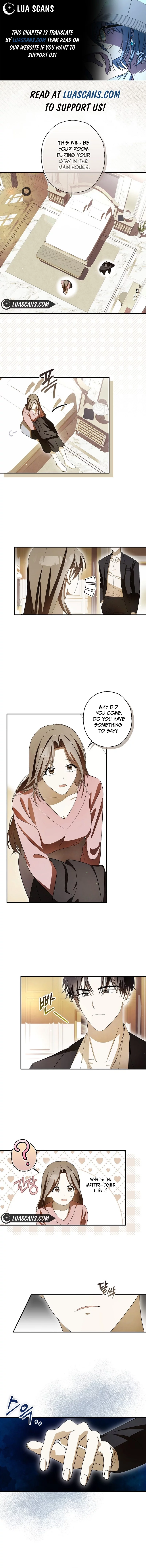 Read Hierarchy Food chain Manga Online
