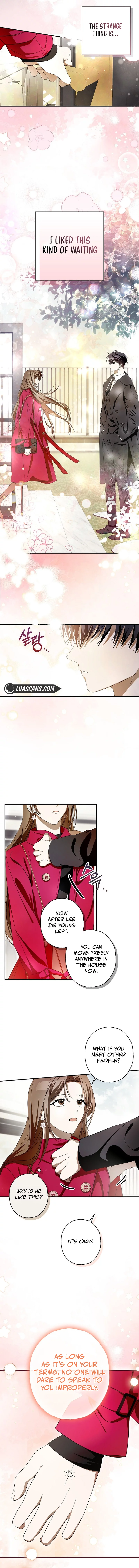 Read Hierarchy Food chain Manga Online