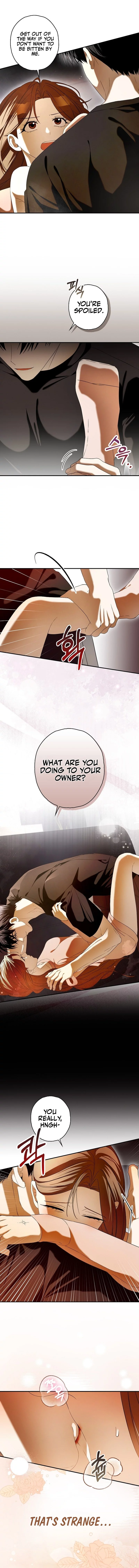 Read Hierarchy Food chain Manga Online