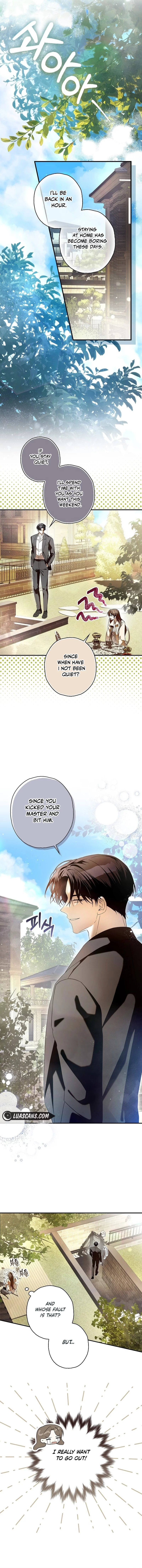 Read Hierarchy Food chain Manga Online