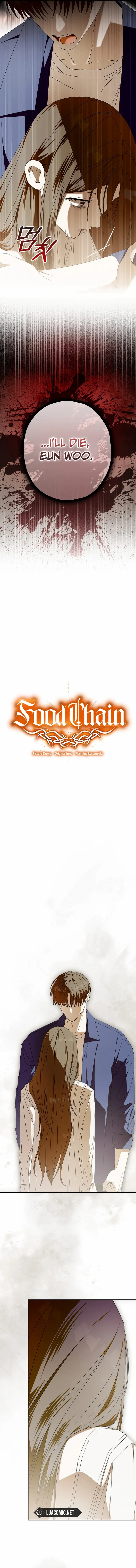 Read Hierarchy Food chain Manga Online
