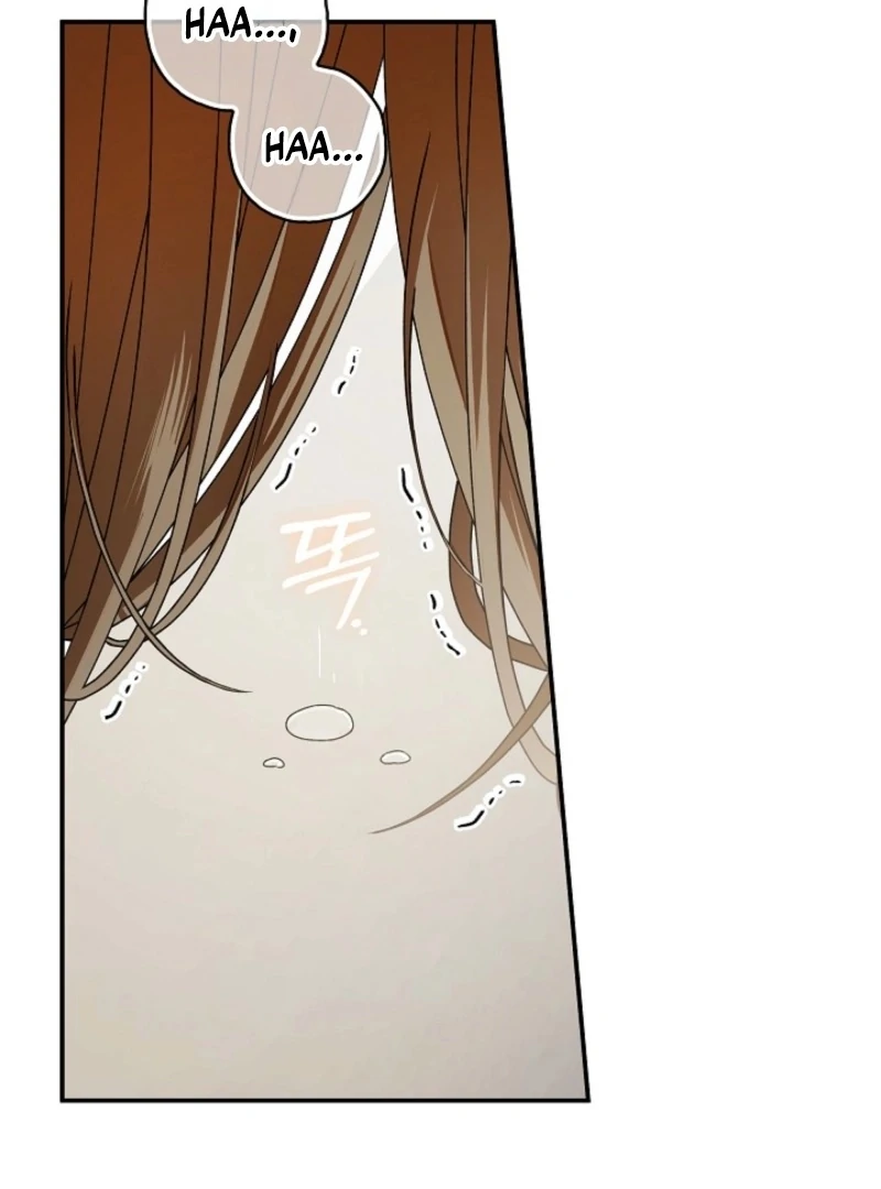 Read Hierarchy Food chain Manga Online