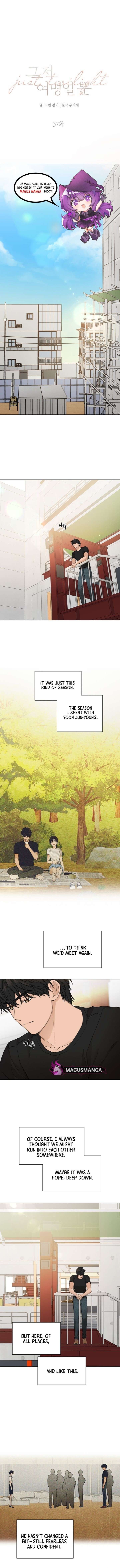 Read Just Twilight Manga Online