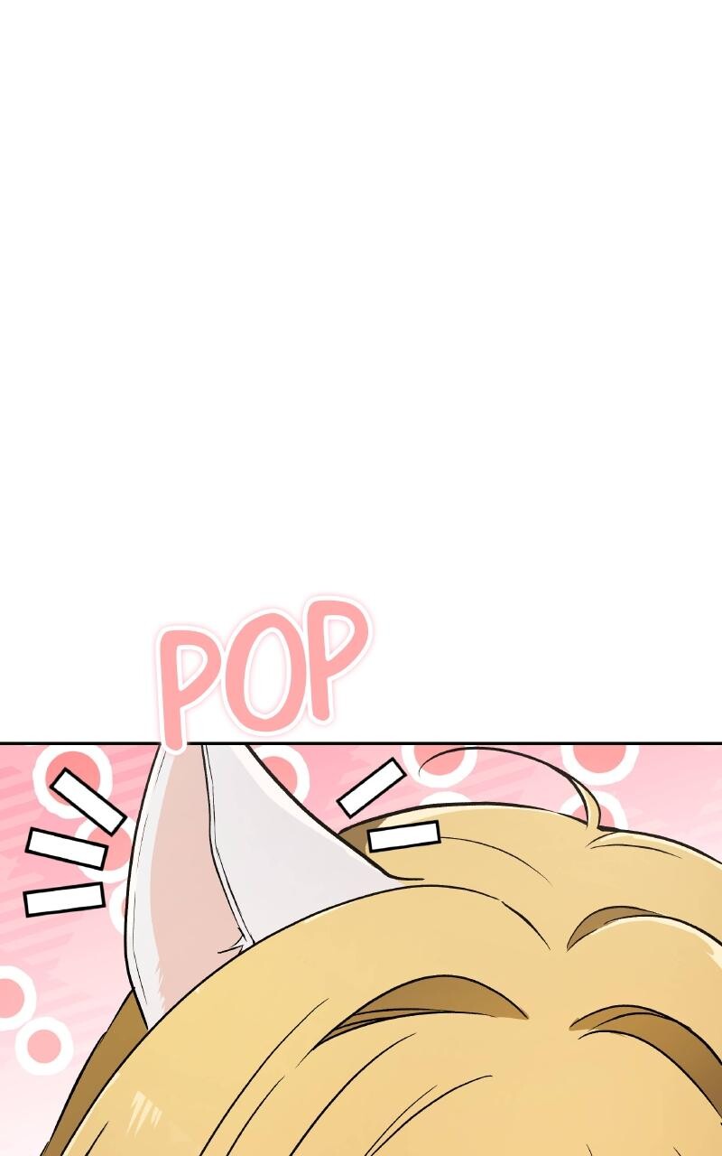 Read Kindergarten for Divine Beasts Manga Online
