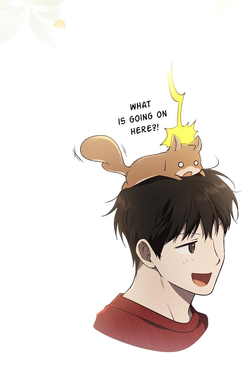Read Kindergarten for Divine Beasts Manga Online