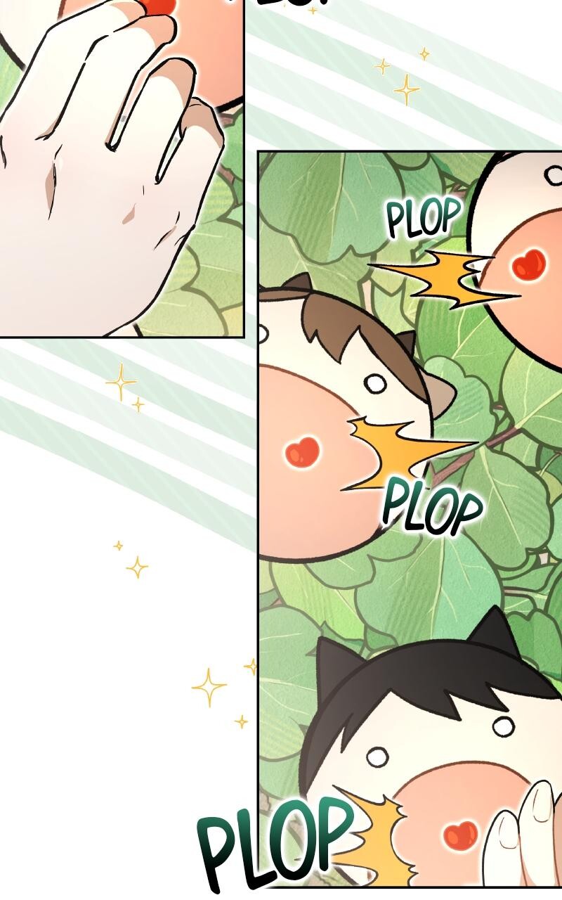 Read Kindergarten for Divine Beasts Manga Online