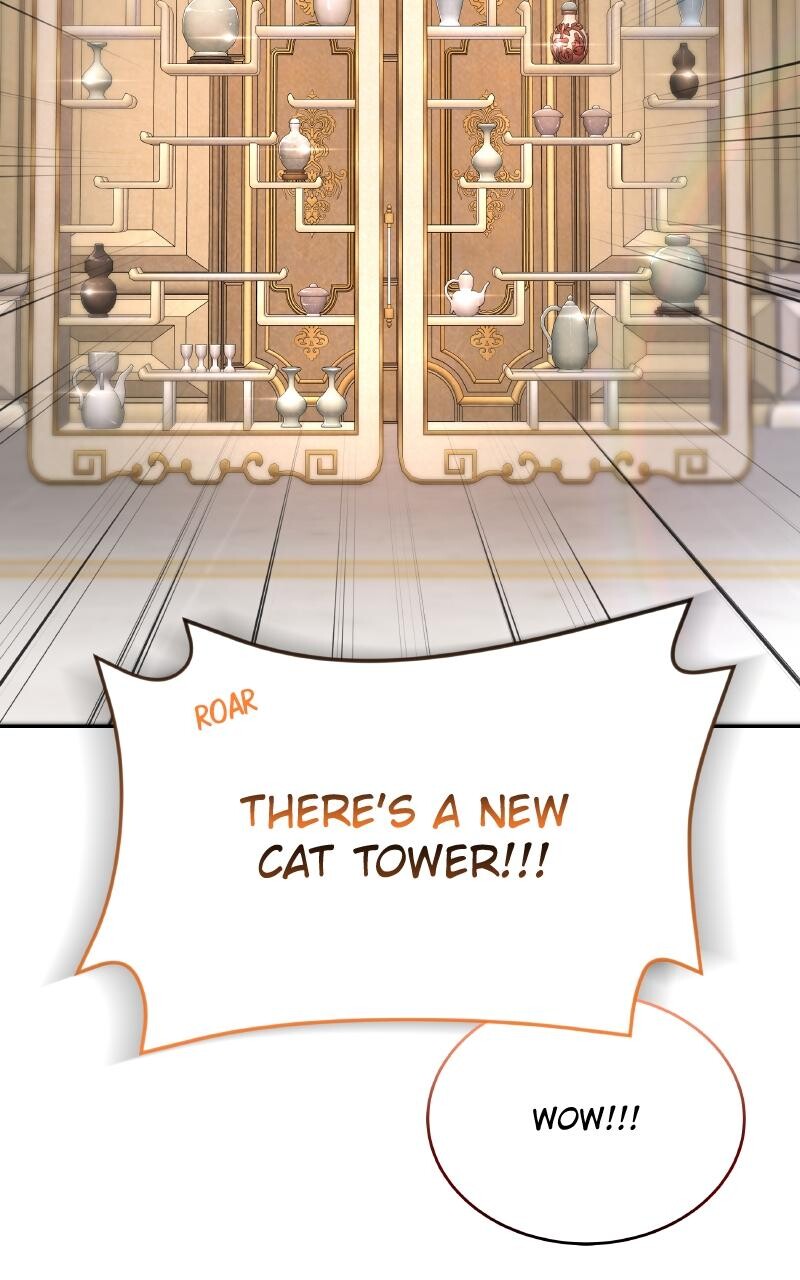 Read Kindergarten for Divine Beasts Manga Online