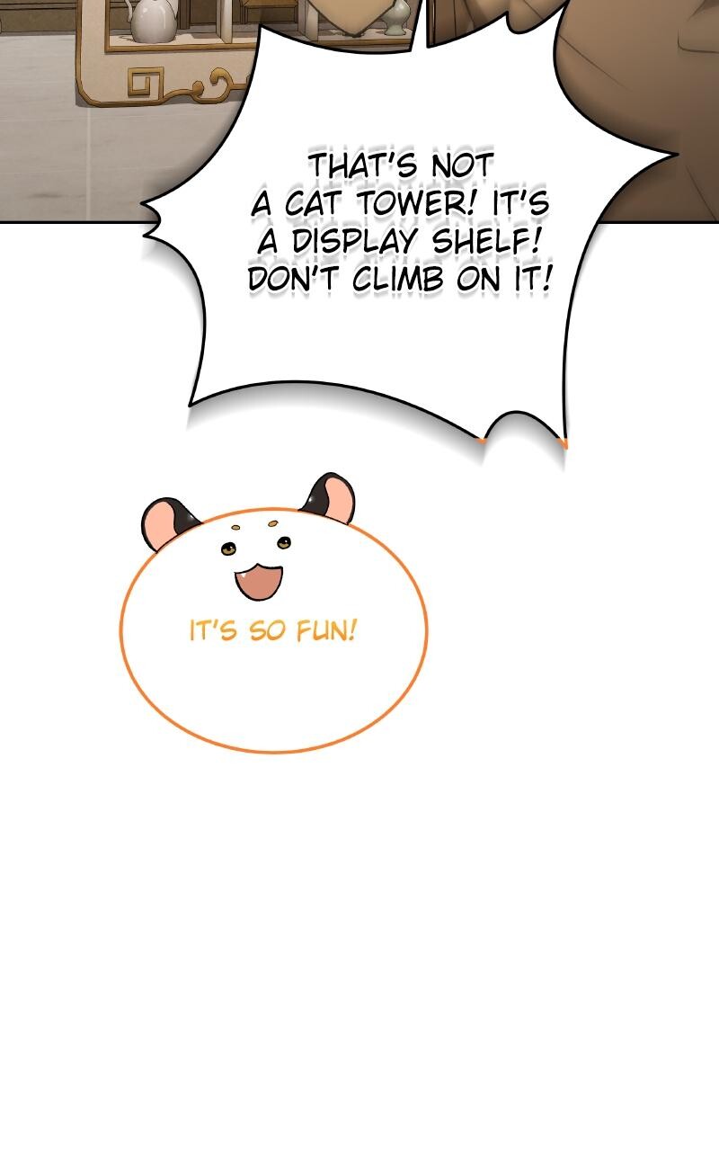 Read Kindergarten for Divine Beasts Manga Online