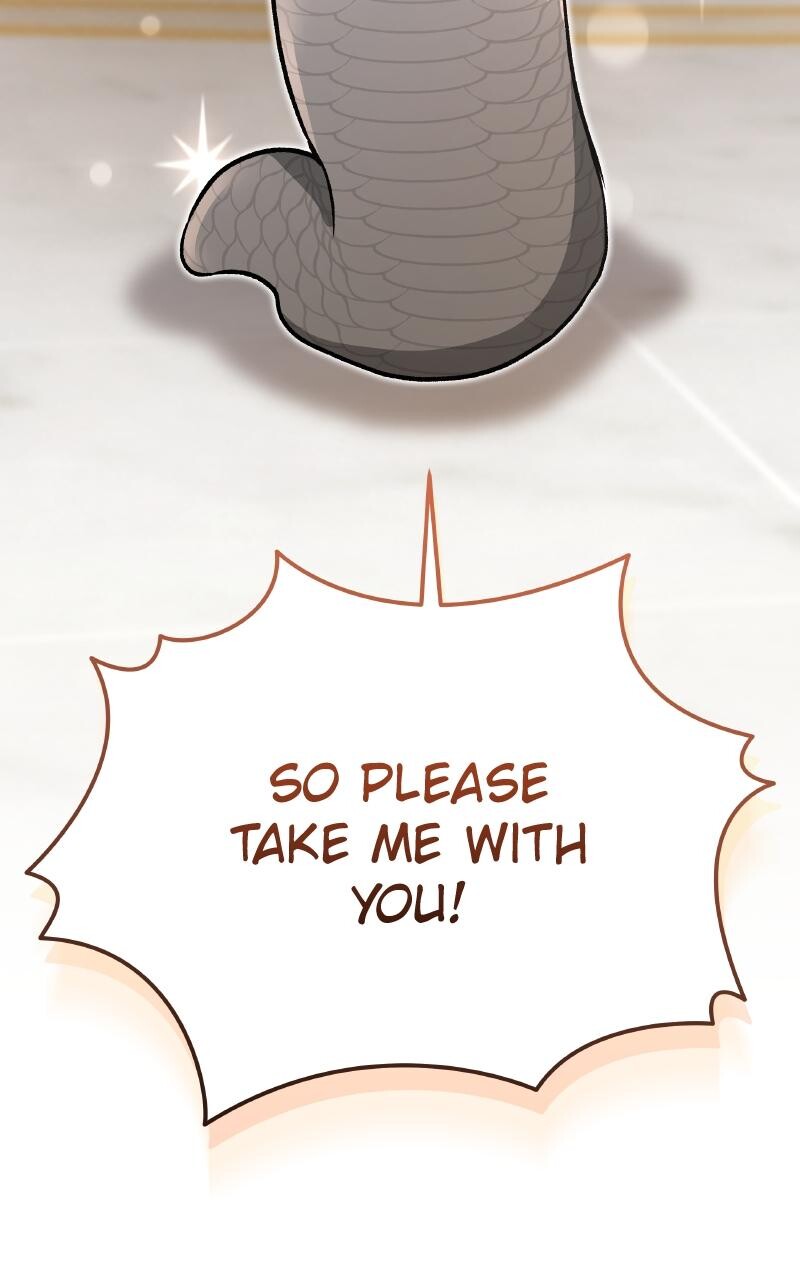 Read Kindergarten for Divine Beasts Manga Online