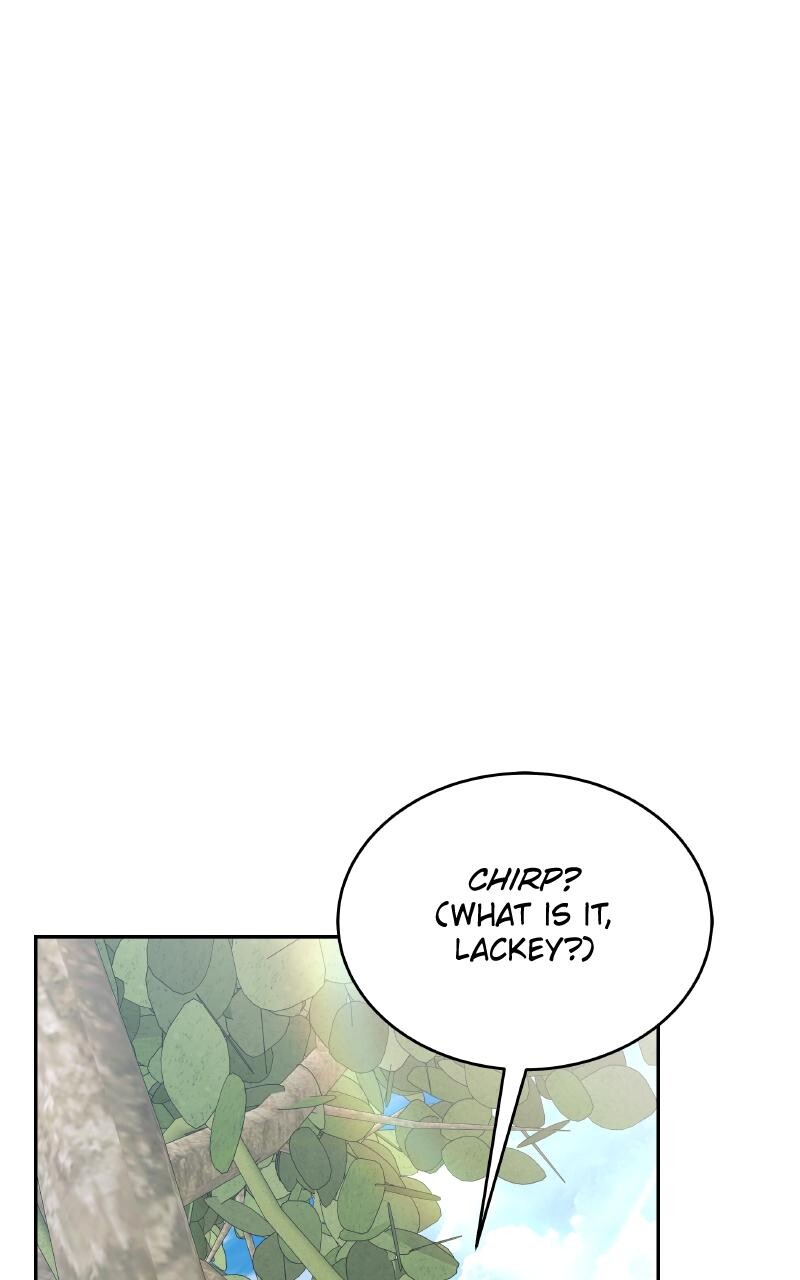 Read Kindergarten for Divine Beasts Manga Online