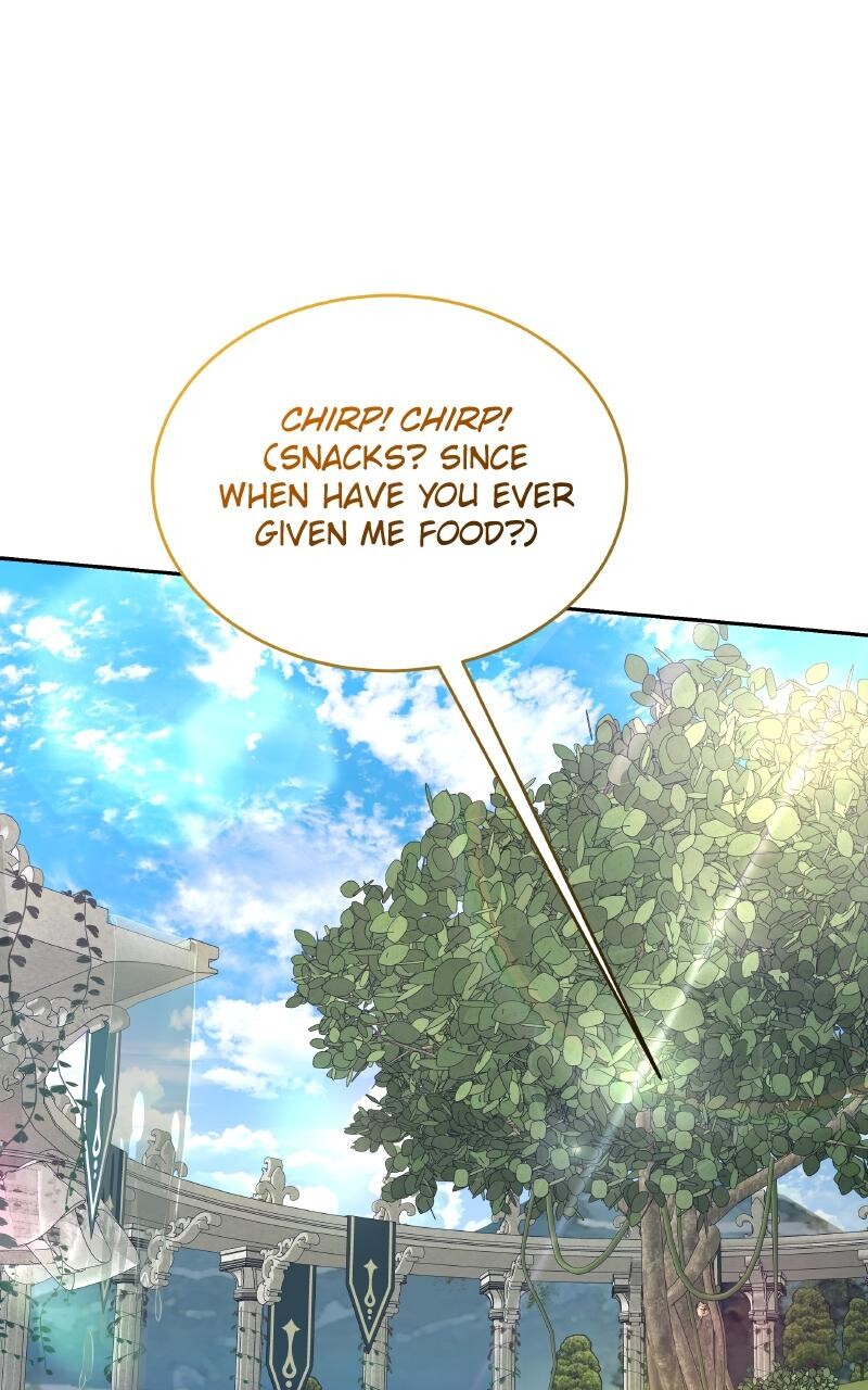 Read Kindergarten for Divine Beasts Manga Online