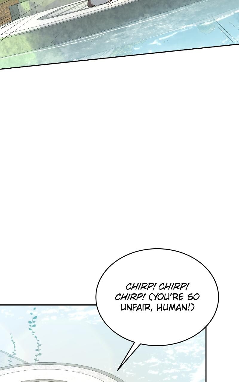 Read Kindergarten for Divine Beasts Manga Online