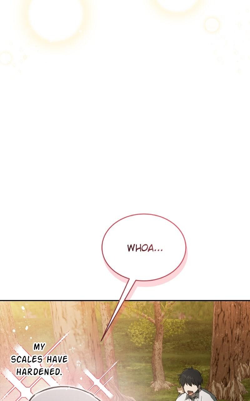 Read Kindergarten for Divine Beasts Manga Online