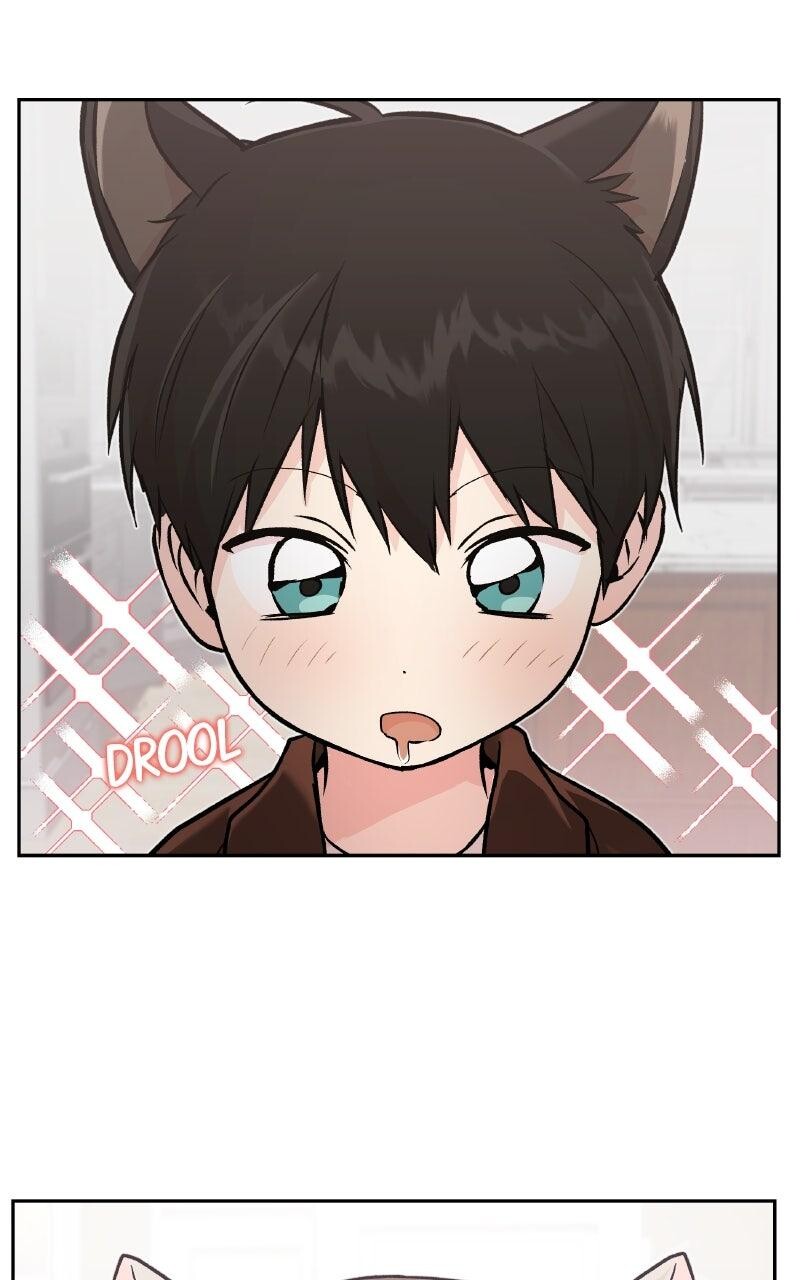Read Kindergarten for Divine Beasts Manga Online