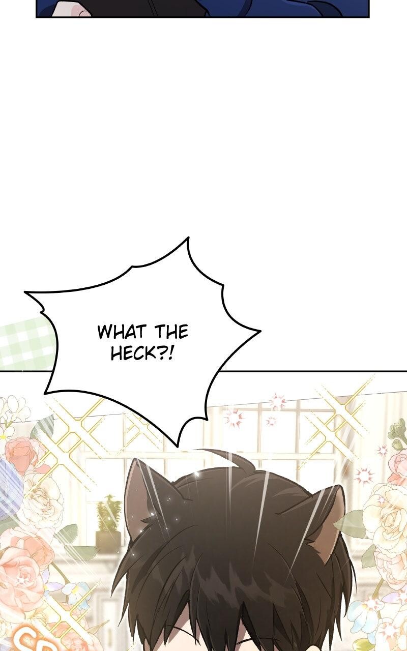Read Kindergarten for Divine Beasts Manga Online