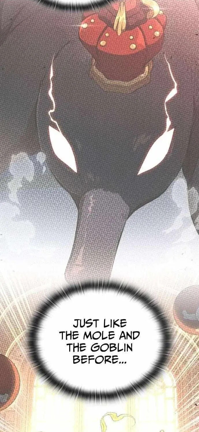 Read Kindergarten for Divine Beasts Manga Online
