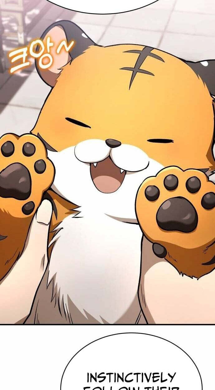 Read Kindergarten for Divine Beasts Manga Online