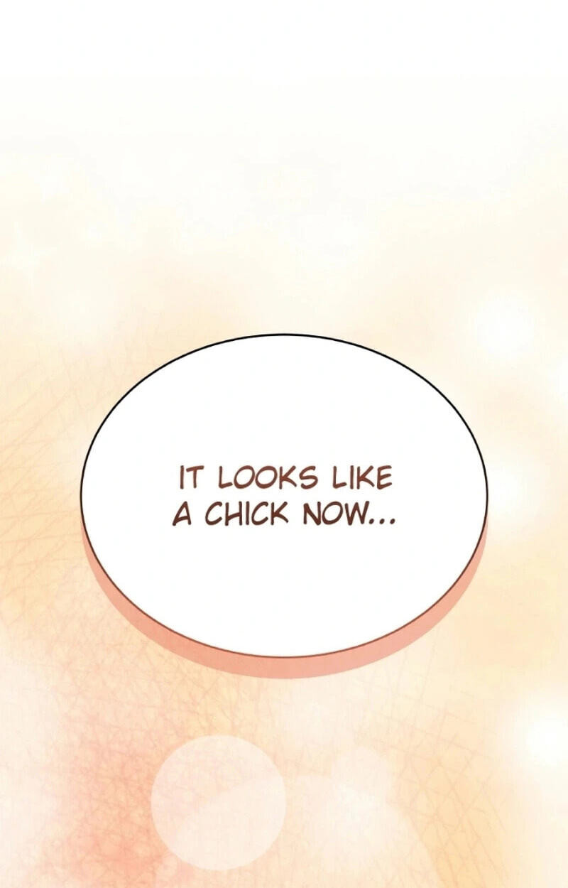 Read Kindergarten for Divine Beasts Manga Online