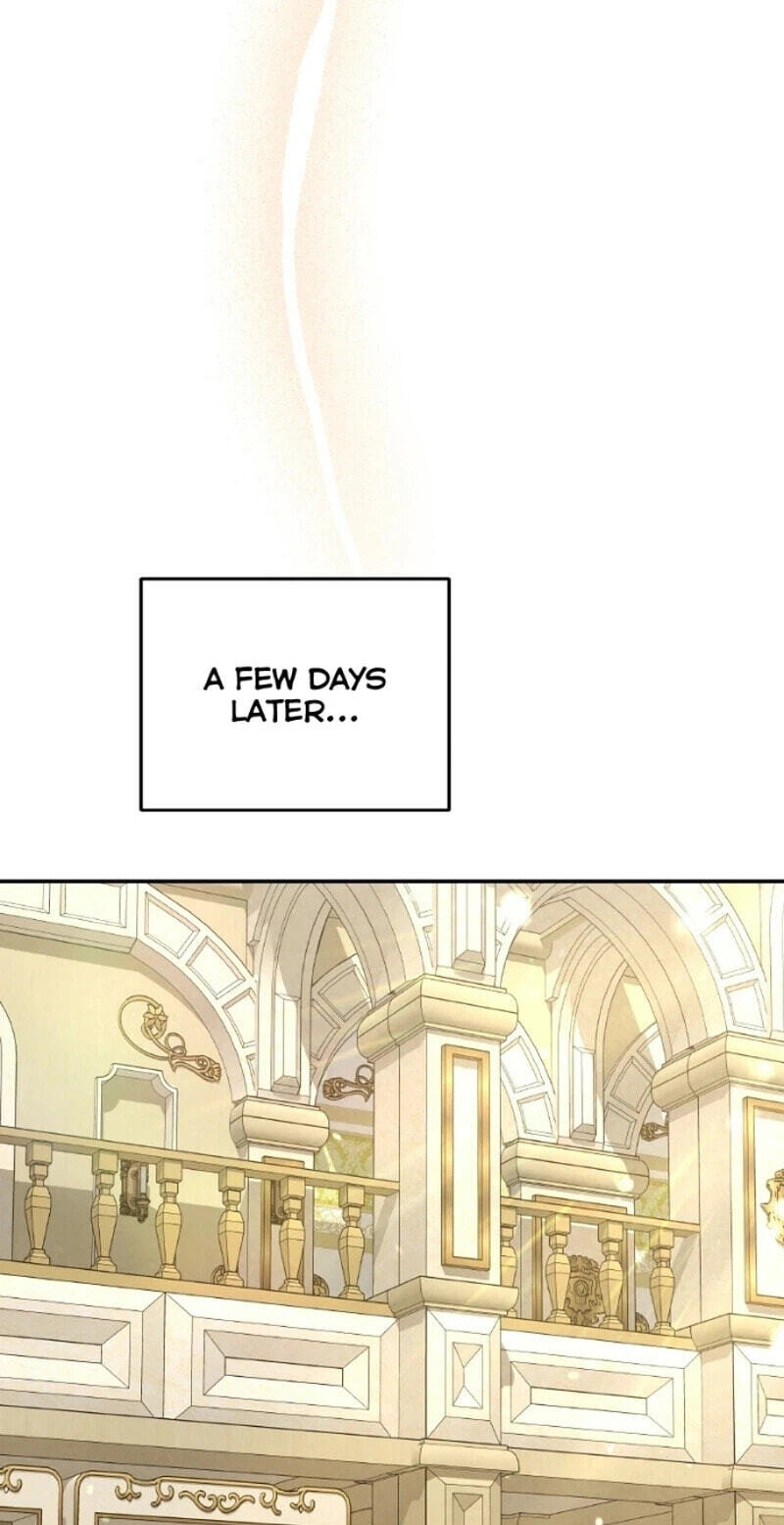 Read Kindergarten for Divine Beasts Manga Online