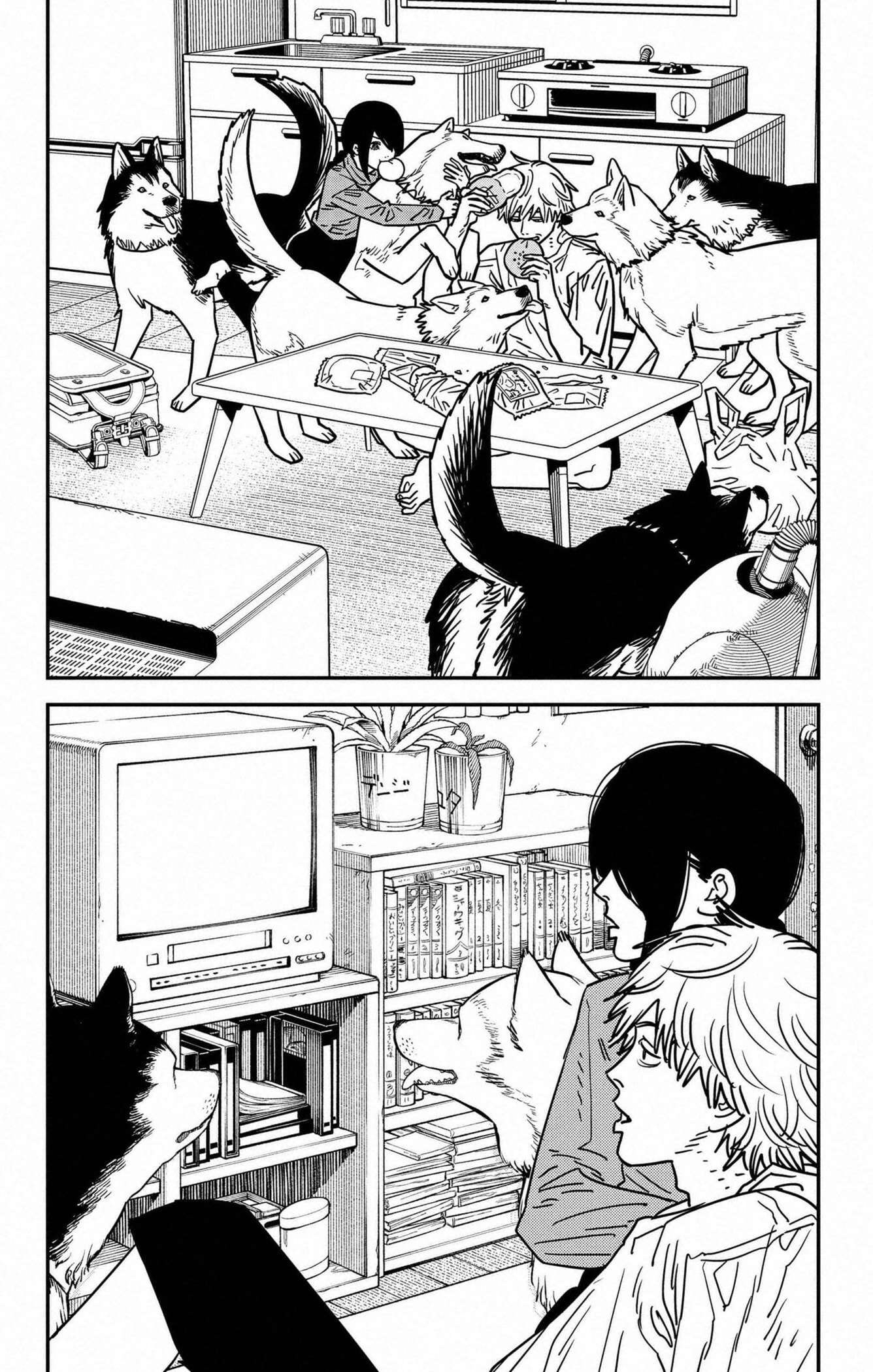 Read Chainsaw Man scan Manga Online