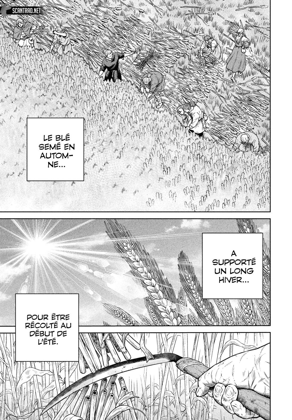 Read Vinland Saga Scan Manga Online